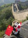 This is a plush marmot called Malaspina Max who travels all over the world with students from the International Education department at Malaspina University-College in Nanaimo, BC. - Max in China